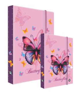 Karton P+P Set Box na zošity A4 + A5 JUMBO Butterflies (motýľ)